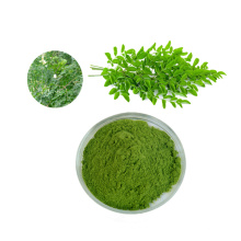 100% pure natural high-quality organic Moringa leaf extract powder